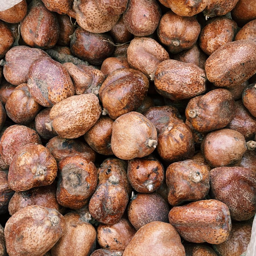 Pile of dried shea nuts